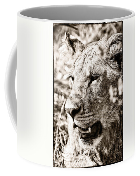 Lioness Coffee Mug featuring the photograph Lioness in Hiding by Perla Copernik