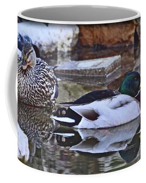 Ducks Coffee Mug featuring the photograph Living The Good Life by Brittany Horton