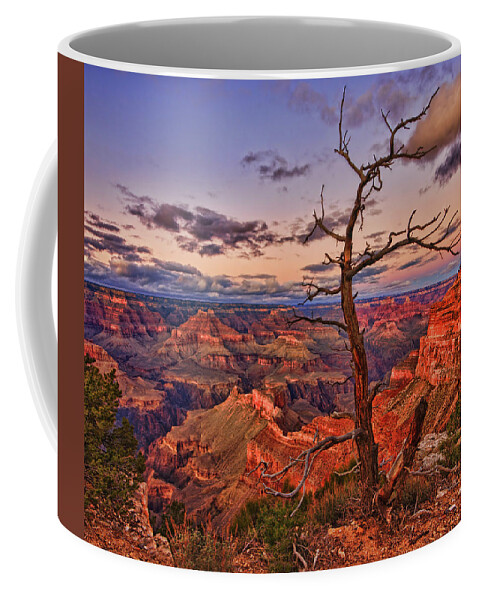 Grand Canyon Coffee Mug featuring the photograph Lone Observer by Beth Sargent