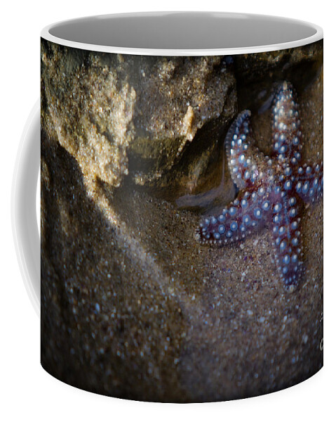 San Diego Coffee Mug featuring the photograph Lone Seastar by Doug Sturgess