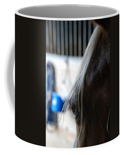 Horse Eye Coffee Mug featuring the photograph Looking Forward by Jennifer Ancker