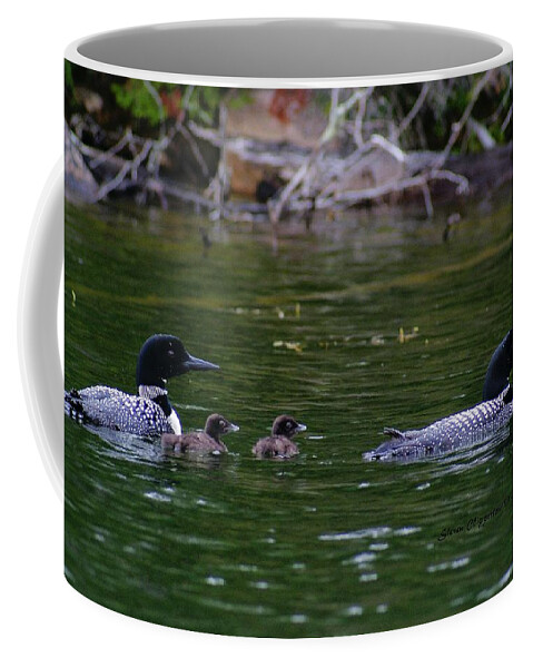 Loons Coffee Mug featuring the photograph Loons with Twins by Steven Clipperton