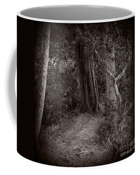Forest Coffee Mug featuring the photograph Lost in the Forest by Sharon Mau