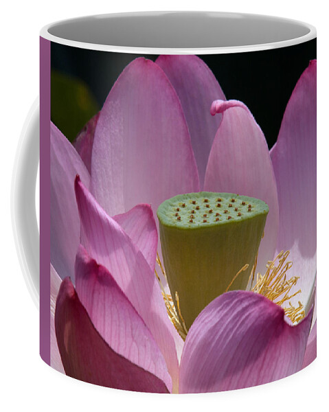 Nature Coffee Mug featuring the photograph Lotus--Center of Being iv DL071 by Gerry Gantt