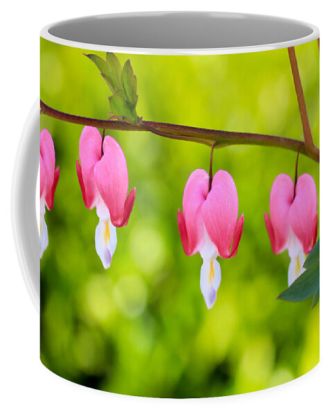 Flowers Coffee Mug featuring the photograph Love by Heidi Smith
