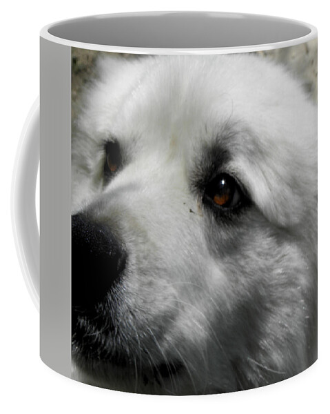 Great Pyrenees Coffee Mug featuring the photograph Loving eyes and Face by Kim Galluzzo Wozniak
