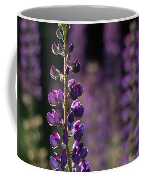 Canada Coffee Mug featuring the photograph Lupines by Jakub Sisak