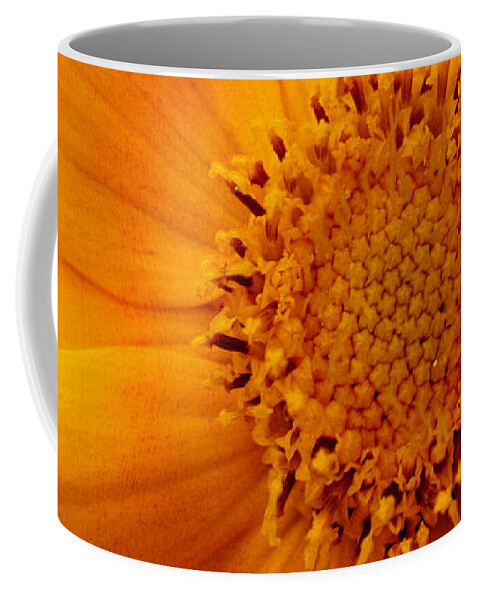 Daisy Coffee Mug featuring the photograph Macro Daisy Flower by Smilin Eyes Treasures