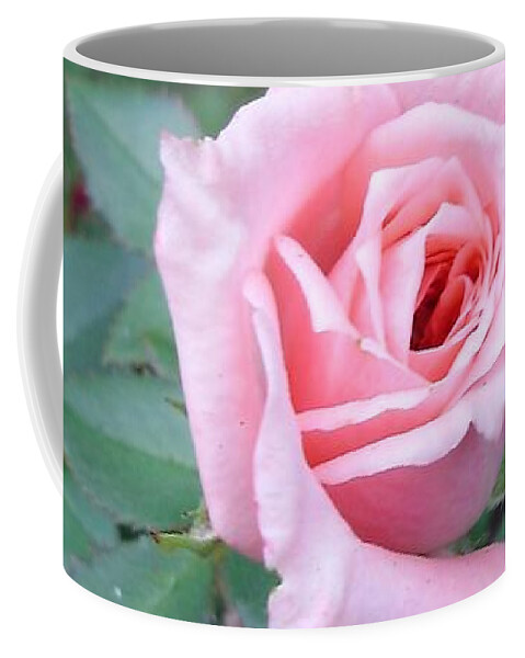 Roses Coffee Mug featuring the photograph Maiden Mother Crone by Anjel B Hartwell