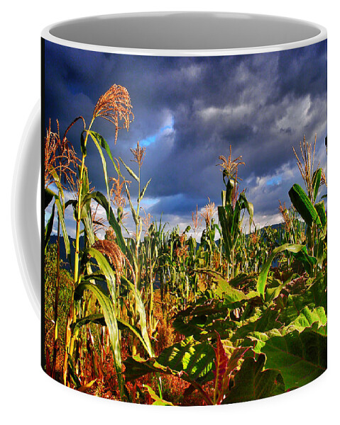 Maiz Coffee Mug featuring the photograph Maiz by Skip Hunt