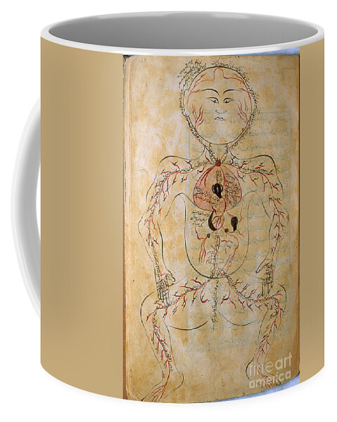 Science Coffee Mug featuring the photograph Mansurs Anatomy, Arterial System, 15th by Science Source
