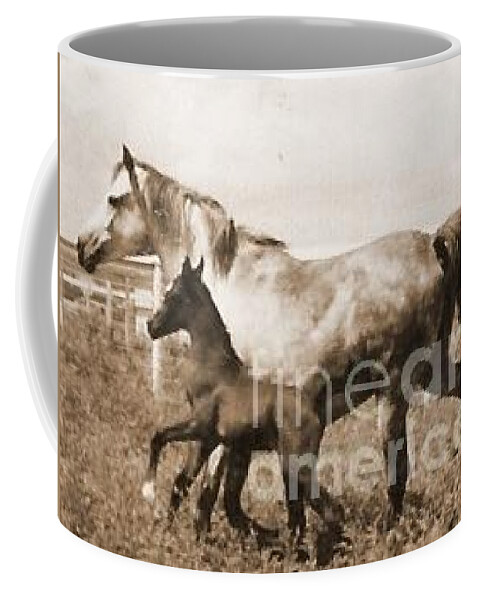 Mare Coffee Mug featuring the photograph Mare and Foal by Vonda Lawson-Rosa