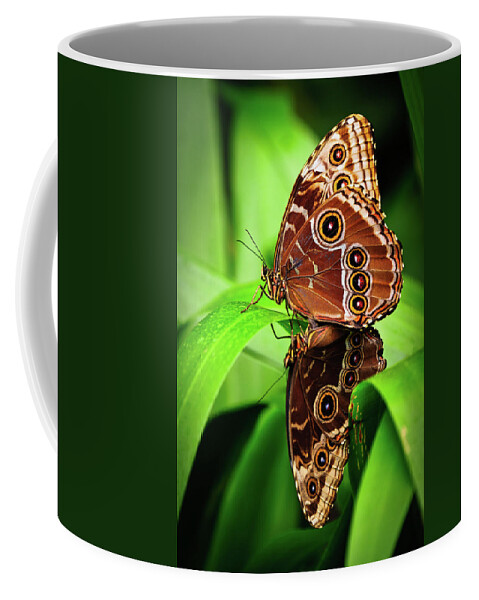 Butterfly Coffee Mug featuring the photograph Mating Butterflies by Harry Spitz