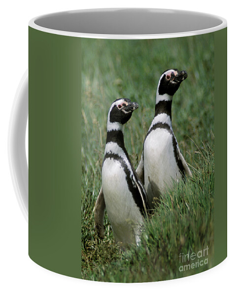 Chile Coffee Mug featuring the photograph Megellanic Penguin Couple - Patagonia by Craig Lovell