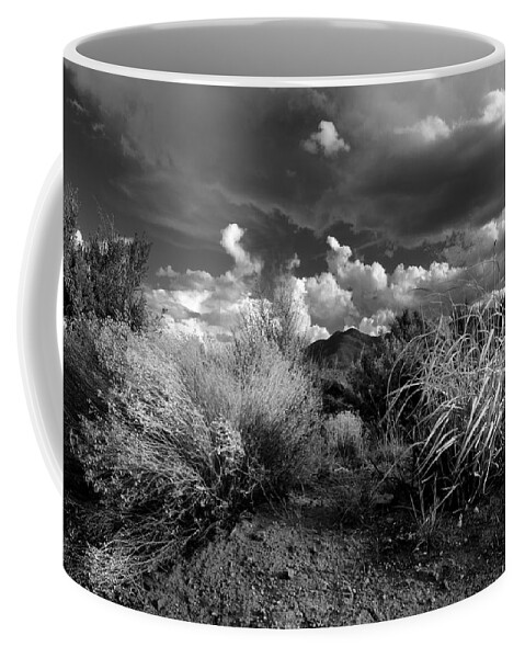Landscape Coffee Mug featuring the photograph Mesa Dreams by Ron Cline