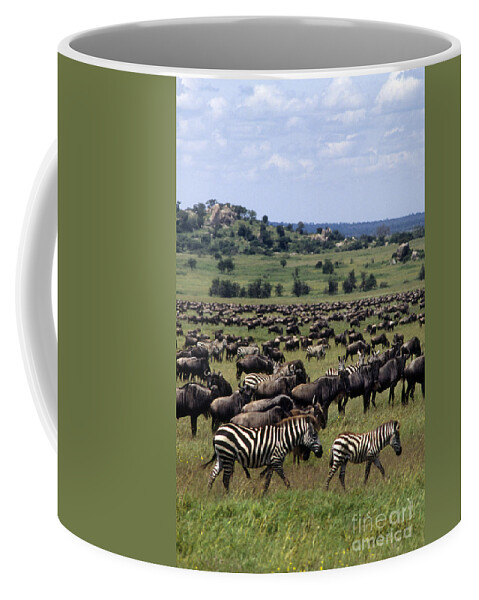 Eco-tourism Coffee Mug featuring the photograph Migration - Serengeti Plains Tanzania by Craig Lovell