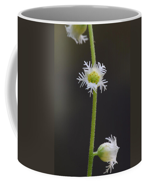 Miterwort Coffee Mug featuring the photograph Miterwort Flowers by Daniel Reed