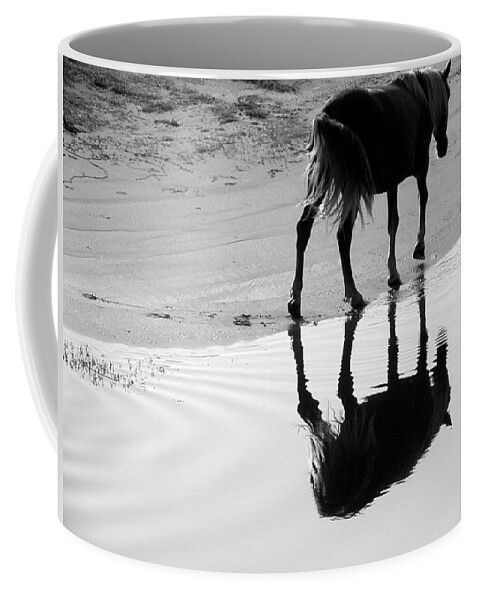 Wild Coffee Mug featuring the photograph Morning Stroll by Kim Galluzzo Wozniak