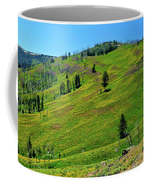 Yellowstone National Park Coffee Mug featuring the photograph Mountain Meadow by Greg Norrell