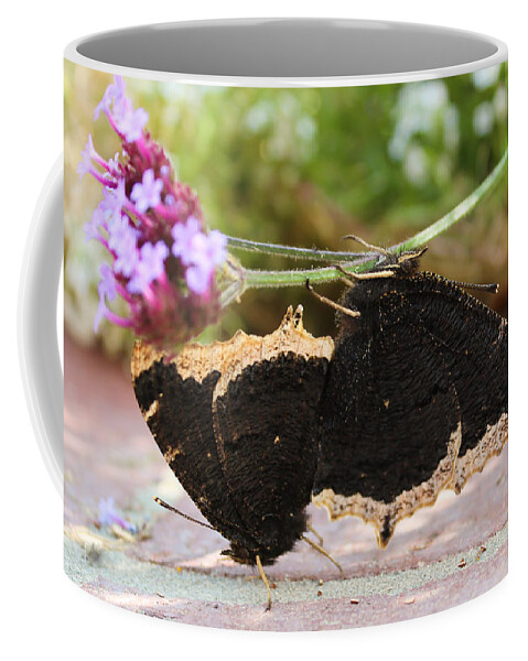 Mourning Cloak Coffee Mug featuring the photograph Mourning Cloak Butterfly Lovin' by Heidi Smith