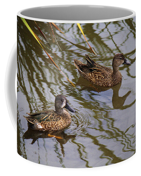 Roena King Coffee Mug featuring the photograph Mr And Mrs Blue Wing Teal by Roena King