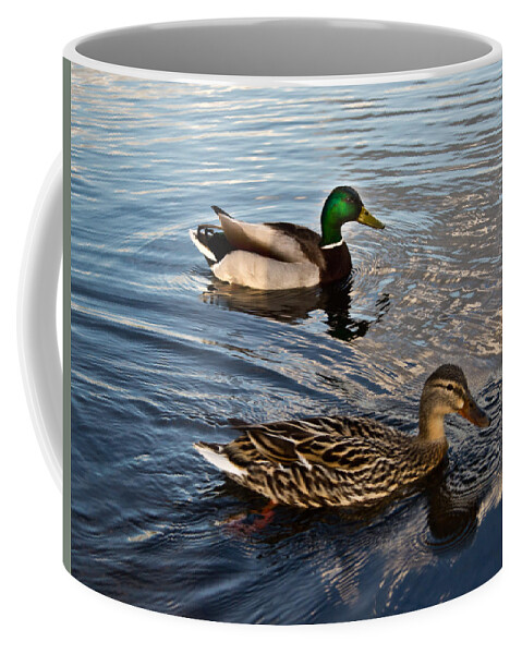 Mallard Coffee Mug featuring the photograph Mr and Mrs Duck on Parade 2 by Douglas Barnett