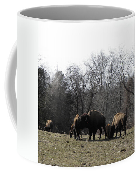 Buffalo Coffee Mug featuring the photograph Mr Daddy Buffalo by Kim Galluzzo