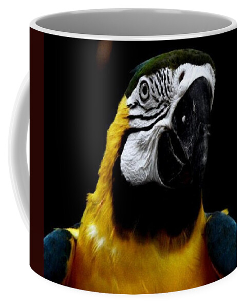 Parrot Coffee Mug featuring the photograph Mr Polly by Kim Galluzzo
