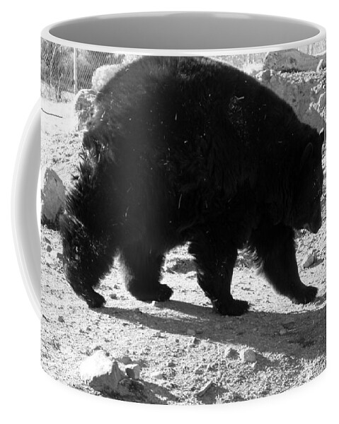Black Coffee Mug featuring the photograph Mrs Black Bear by Kim Galluzzo Wozniak