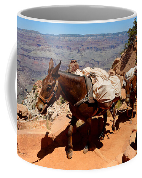 Mule Coffee Mug featuring the photograph Mule Train by Julie Niemela