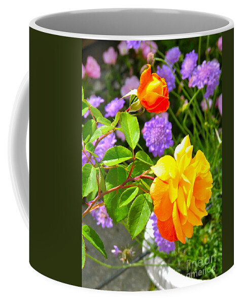 Roses Coffee Mug featuring the photograph My Beautiful Roses by Phyllis Kaltenbach