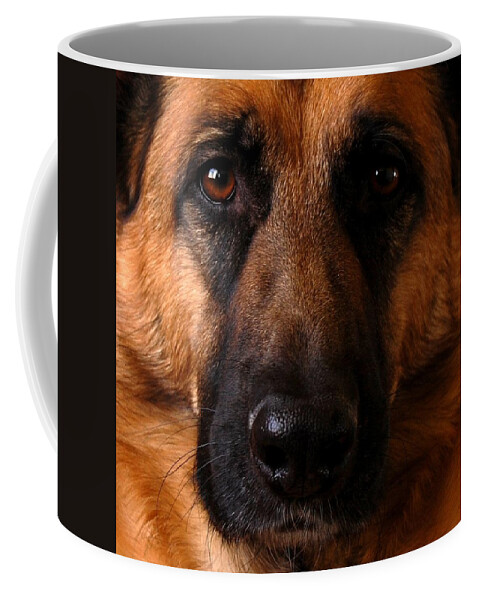 German Shepherds Dogs Coffee Mug featuring the photograph My Forrest by Angie Tirado