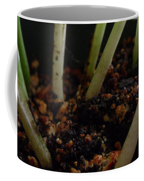  Coffee Mug featuring the photograph My room up close 16 by Myron Belfast