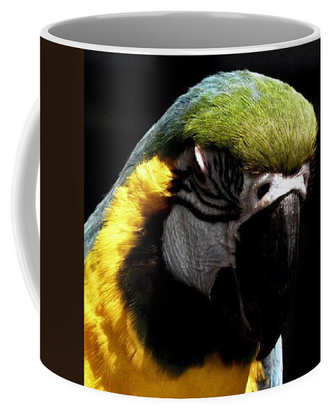 Macaw Coffee Mug featuring the photograph Nap Time by Kim Galluzzo Wozniak