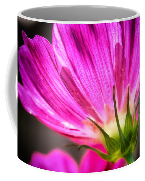 Nature Coffee Mug featuring the photograph Nature in Neon by Lynne Jenkins