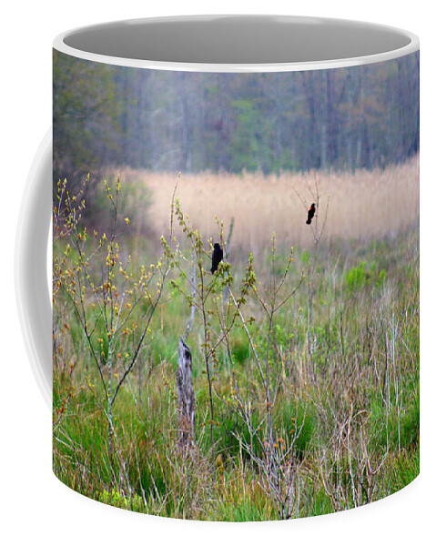 Marshland Coffee Mug featuring the photograph Nature On The Marsh by Kim Galluzzo Wozniak