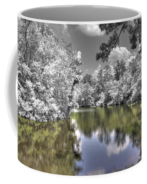 Water Coffee Mug featuring the photograph Nature's Dream by David Troxel
