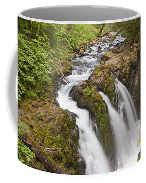 Adventure Coffee Mug featuring the photograph Nature's Majesty II by Heidi Smith