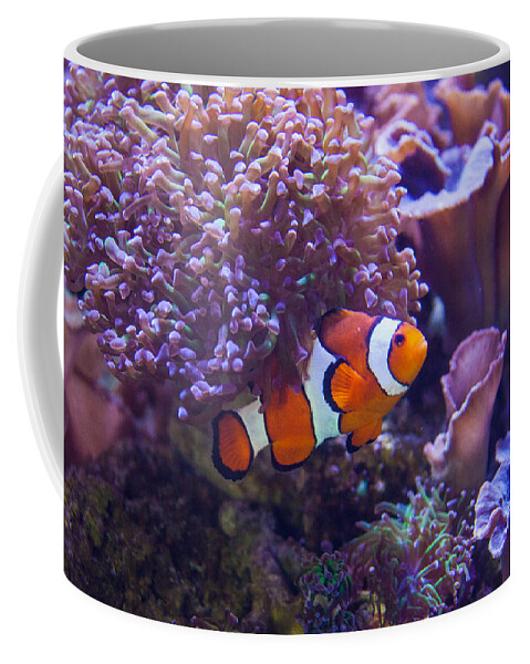 Fish Coffee Mug featuring the photograph Nemo by Ralf Kaiser
