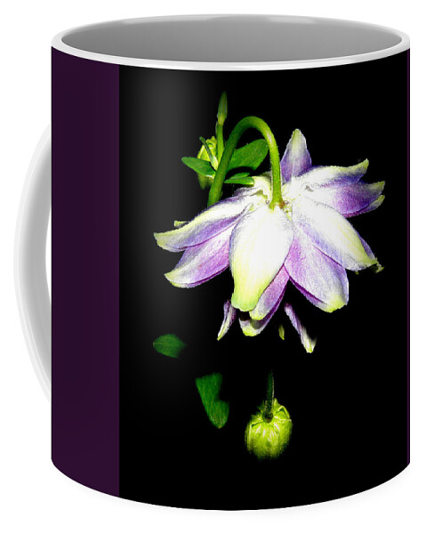 Purple Coffee Mug featuring the photograph New Bloom At Night by Kim Galluzzo
