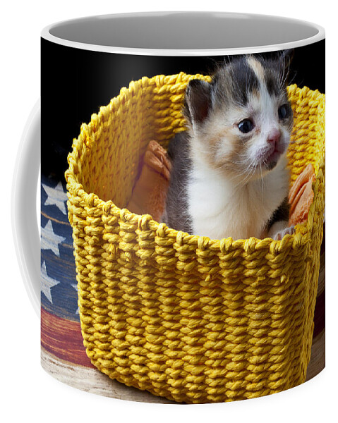 New Born Kitten Coffee Mug featuring the photograph New born kitten by Garry Gay