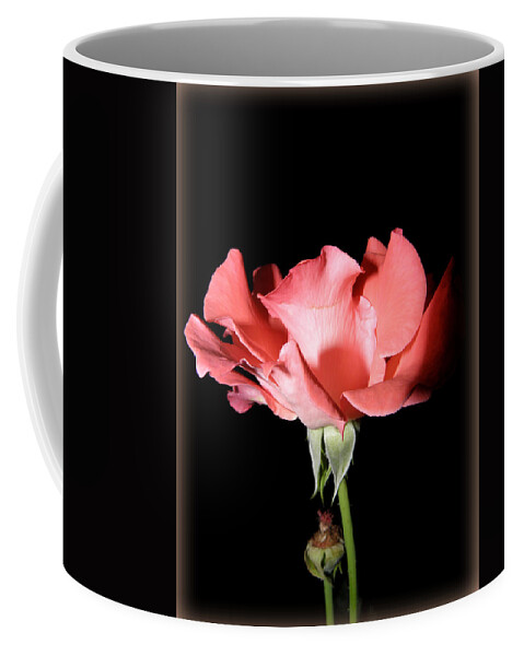 Flower Coffee Mug featuring the photograph Nightly Rose Flow by Kim Galluzzo