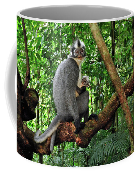 Mp Coffee Mug featuring the photograph North Sumatran Leaf Monkey Presbytis by Thomas Marent