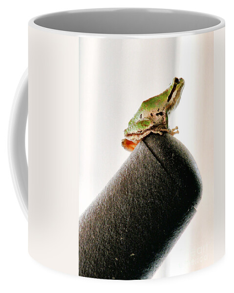 Frog Coffee Mug featuring the photograph Now What? by Rory Siegel