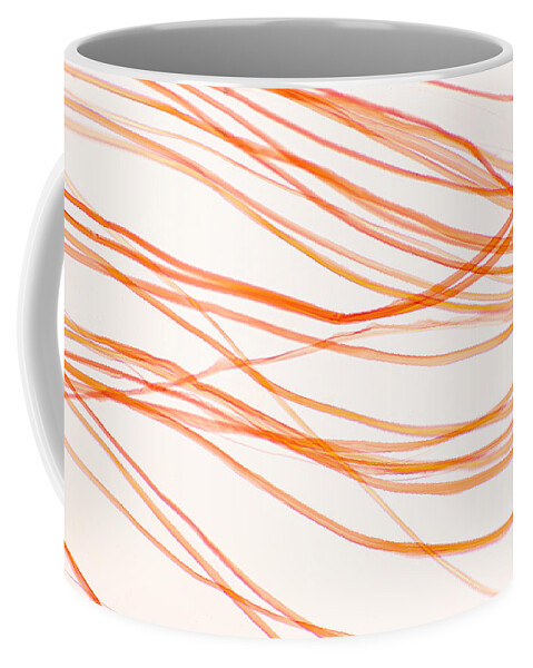 Fiber Coffee Mug featuring the photograph Nylon Fibers by Ted Kinsman