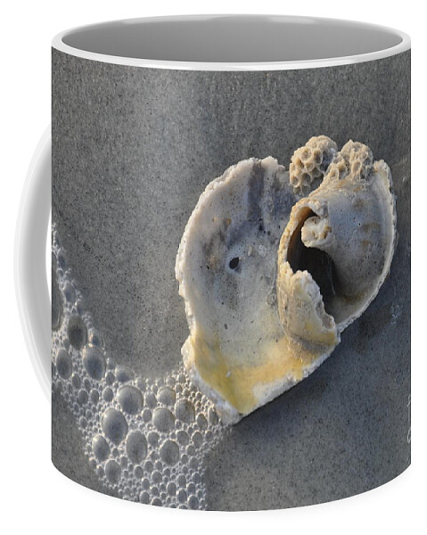 Sea Shell Coffee Mug featuring the photograph Ocean's Gift by Cheryl McClure