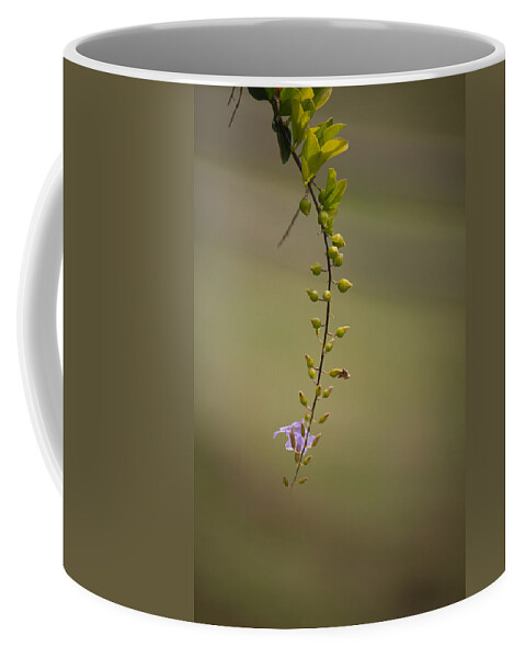 Offering Coffee Mug featuring the photograph Offering by SAURAVphoto Online Store