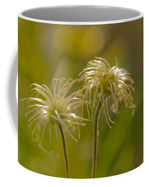 Bouquet Coffee Mug featuring the photograph Oldness by Michael Goyberg