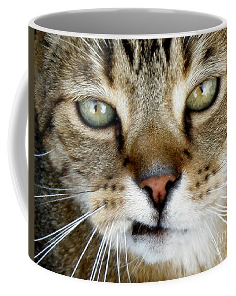 Cat Coffee Mug featuring the photograph Oliver the Cat by Lainie Wrightson