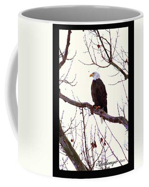 American Bald Eagle Coffee Mug featuring the photograph 'One American Bald Eagle' by PJQandFriends Photography